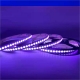 5m RGB Dot COB LED Strip Light - Color-Changing COB Series LED Tape Light - 24V - IP20